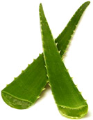 Advantages Of Aloe Vera